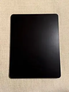 第6世代 iPad pro 12.9インチ 256GB Wi-Fi