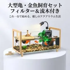 バイカルヨコエビ バイカル湖 標本 ムカデヤスデミリピード