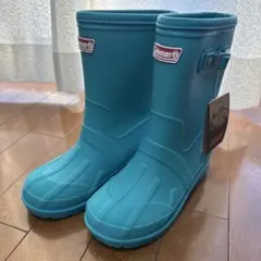 Item thumbnail for item c37a871c-272e-4785-8a2c-5a1986dd163d