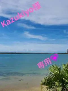 ❋Kazukiyo様専用❋　ヨーグルッペバラエティセット