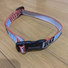 Item thumbnail for item 3a1eb8e6-2f32-4aab-bd65-caec7d04f85b