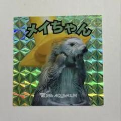 鳥羽水族館 メイちゃん ホログラムシール