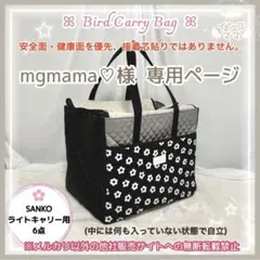 Item thumbnail for item 60de899a-f97c-49ef-bf6e-bbc29b373b0d