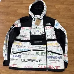 シュプリーム　ノースフェイスコラボマウンテンパーカー