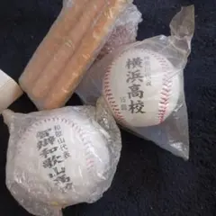 第93回・第95回全国高校野球選手権記念ボールセット