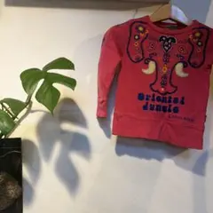 ブーフーウー　個性的　ゾウ　刺繍　トレーナー　100㎝のサムネイル