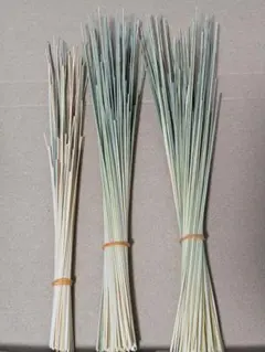 058<ヒンメリ・麦細工用>青ライ麦220本、1.5㎜前後　20～32㎝