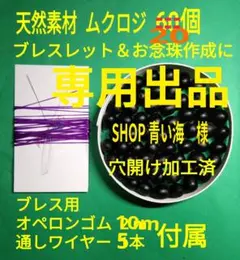 ムクロジ２０個他
