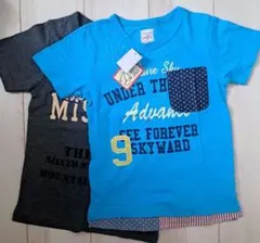 Item thumbnail for item 7cb2f08e-2d4e-43f1-a6f9-1a7774183f0c