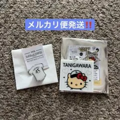 福岡ソフトバンクホークス　谷川原健太　キーホルダー　ピンバッジ　2点セットのサムネイル