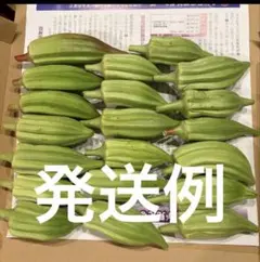 新鮮オクラ　ダビデの星&ヒルカントリーレッド　箱込み750gぐらいのサムネイル