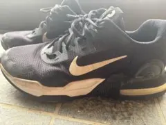 Item thumbnail for item 07b88d14-6dee-4099-9a84-9897b21c551e