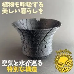 yuuki様 リクエスト 2点 まとめ商品