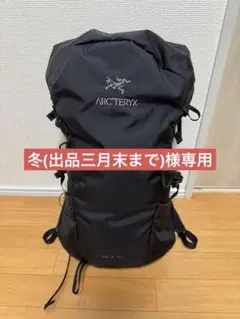 2026年最新】アークテリクス arc'teryx ブライズの人気アイテム - メルカリ