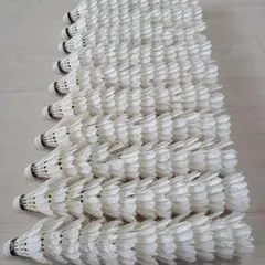 Item thumbnail for item 3f2f5523-2d7f-4591-9700-c9e24a3e1129