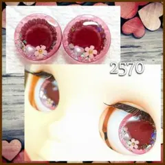 2570 ネオブライスサイズレジンアイチップ