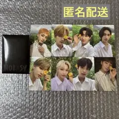 NOEASY Stray Kids プレオーダー特典　トレカ　スキズ