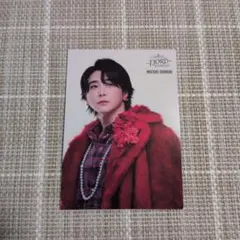 Mrs. GREEN APPLE FJORD 大森元貴フォトカ