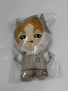 うらたぬき　ハロパ　ぬいぐるみ　2023
