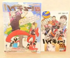 ハイキュー!!15巻 予約限定版 DVD 未開封 特典ペーパー付 33.5巻