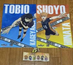 ハイキュー!! クリアファイルセット 影山飛雄 日向翔陽