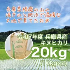 新米★ 山の湧き水で育てた農家のお米 兵庫県産キヌヒカリ 20kg(10kg×2のサムネイル