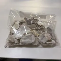 カキ殻等