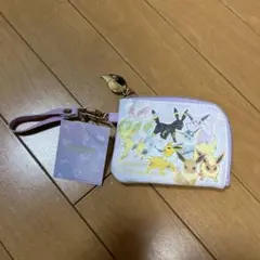 ポケットモンスター イーブイ ポーチ