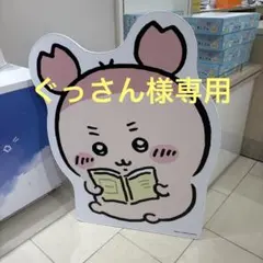 ぐっさん様専用