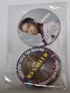 EXILE　NESMITH　缶バッジ２個セット