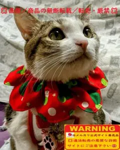 Item thumbnail for item 95086b71-5c4a-4721-8e95-eec20049d37a