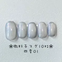 【即購入ok】マグネットネイルチップ　ショートオーバル　ニュアンス　四季01