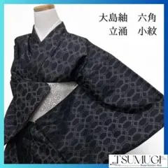 大島紬 六角　立涌模様　モノトーン　小紋　着物　101a p