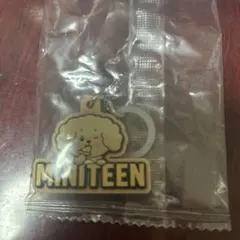 MINITEEN