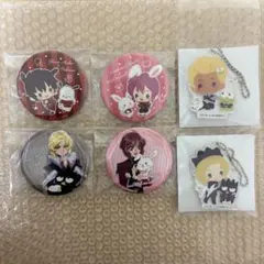 ガンダムSEED FREEDOM サンリオ 缶バッジ アクリルキーホルダー