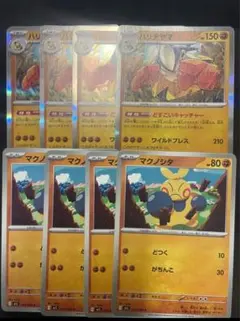ポケモンカード　ハリテヤマ　どすこいキャッチャー　ワイルドプレス　マクノシタ