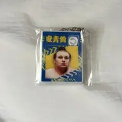 Item thumbnail for item c9f8f167-dd91-4276-816e-b103f5954ea6