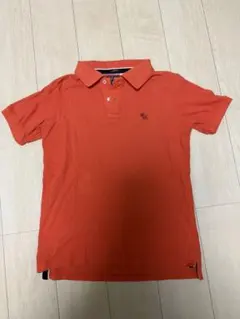 Abercrombie & Fitch ポロシャツ