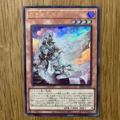 【哭きの竜12436】ひさこ様 専用