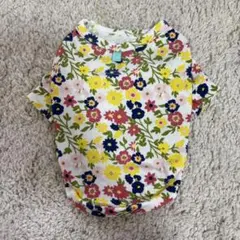 Item thumbnail for item a48462c2-0964-4a17-bf9b-c007af027efd