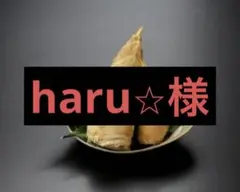 haru⭐︎様　京都山城産　朝掘り筍2kg