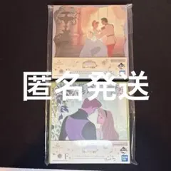 一番くじ プリンセス F賞 ミニキャンバスボード シンデレラ オーロラ姫