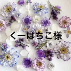 くーはちこ様 リクエスト 3点 まとめ商品