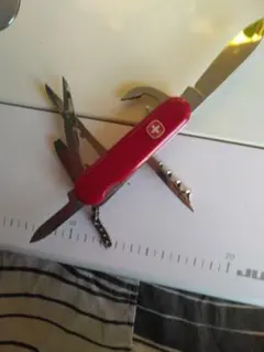 Item thumbnail for item 3d8546b3-d78f-4deb-b668-96ae46813770