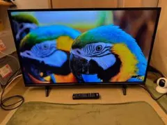 全国送料込❣️IO DATA43型4K液晶モニター広視野角ブルーライト軽減