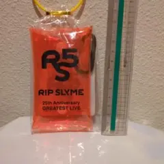 RIP SLYME 25th ミニクリアポーチ GIGO 2種 - メルカリ