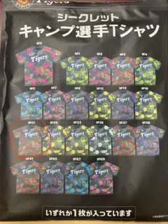 阪神タイガース 森下翔太 沖縄キャンプ限定 シークレット キャンプ選手Tシャツ 阪神タイガース 森下翔太 沖縄キャンプ限定 シークレット キャンプ選手