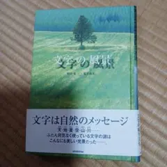 星になりたい : 玉置浩二詩画集 希少 KOJI TAMAKI - メルカリ