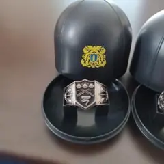 ボンゴレリング３種類