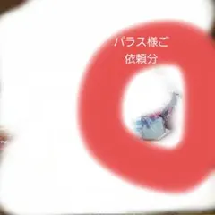 パラス様ご依頼分